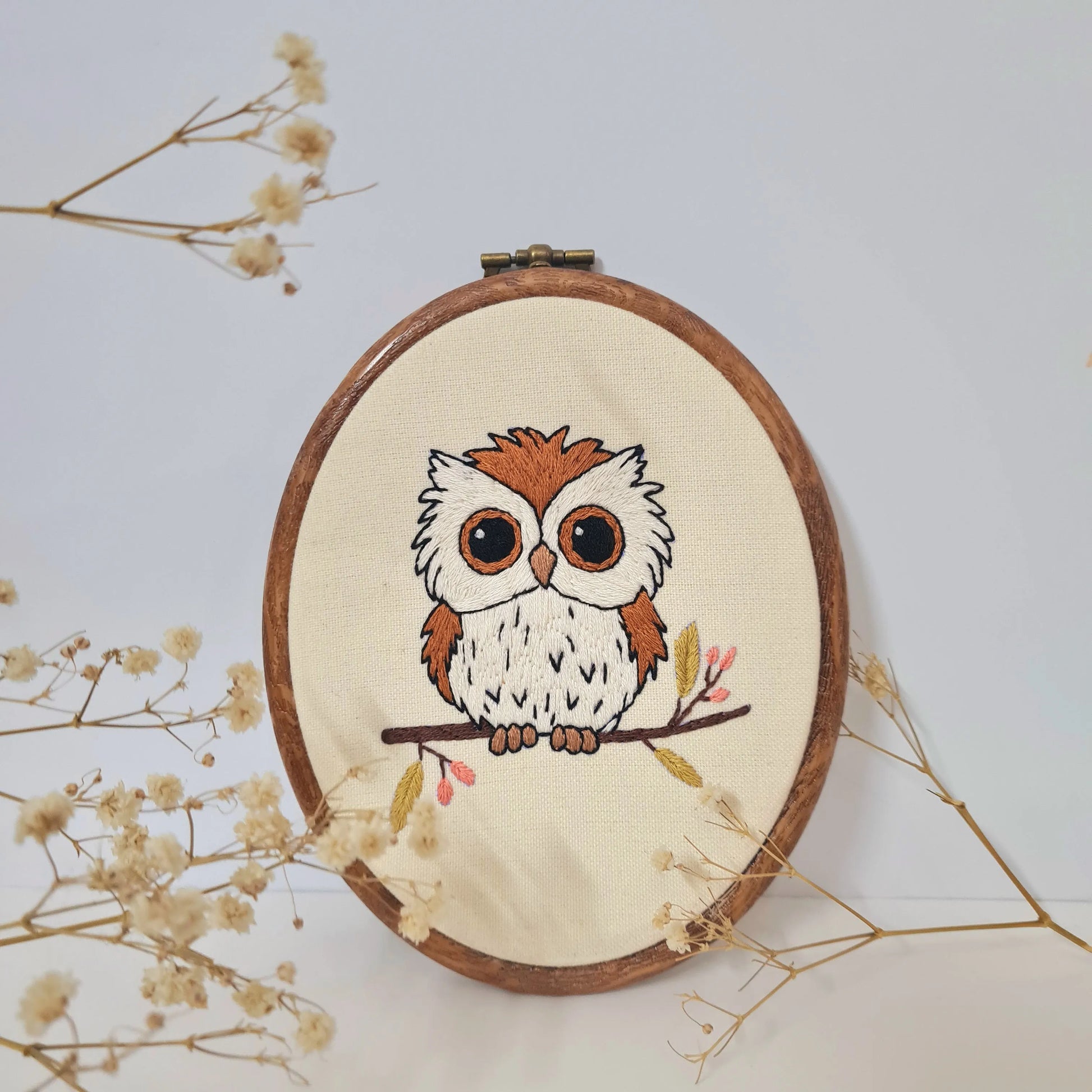 Cute Owlet
